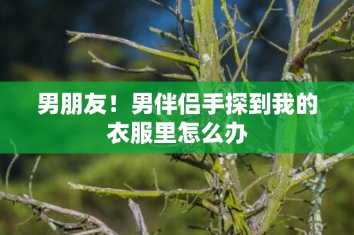 男朋友！男伴侣手探到我的衣服里怎么办