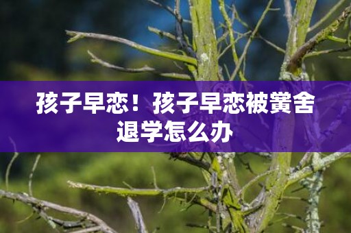 孩子早恋！孩子早恋被黉舍退学怎么办
