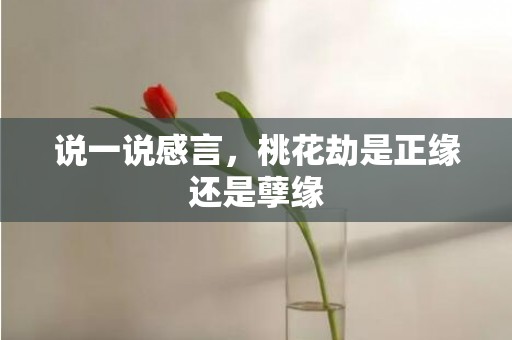 说一说感言，桃花劫是正缘还是孽缘