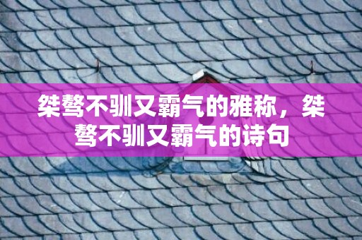 桀骜不驯又霸气的雅称，桀骜不驯又霸气的诗句