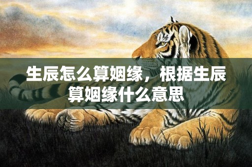 生辰怎么算姻缘，根据生辰算姻缘什么意思