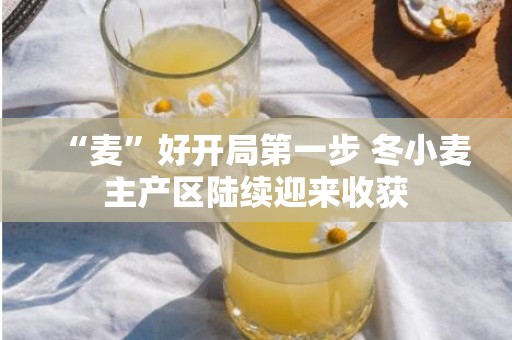 “麦”好开局第一步 冬小麦主产区陆续迎来收获