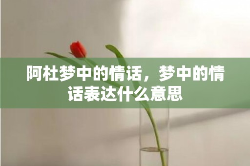 阿杜梦中的情话，梦中的情话表达什么意思