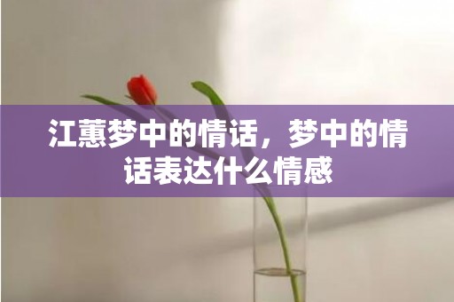 江蕙梦中的情话，梦中的情话表达什么情感