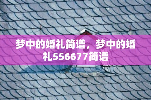 梦中的婚礼简谱，梦中的婚礼556677简谱