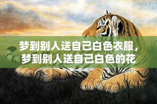 梦到别人送自己白色衣服，梦到别人送自己白色的花