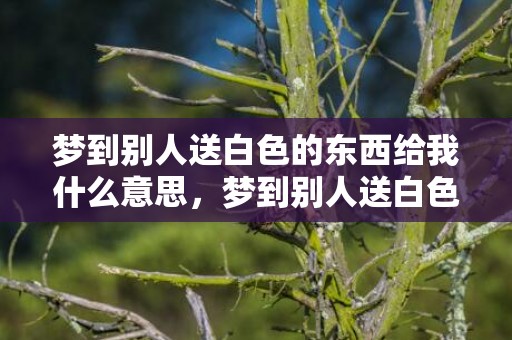 梦到别人送白色的东西给我什么意思，梦到别人送白色的花给我