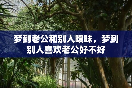 梦到老公和别人暧昧，梦到别人喜欢老公好不好