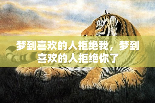 梦到喜欢的人拒绝我，梦到喜欢的人拒绝你了