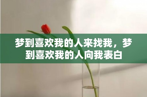 梦到喜欢我的人来找我，梦到喜欢我的人向我表白