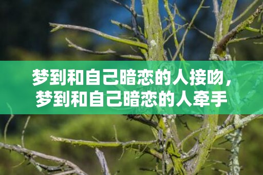 梦到和自己暗恋的人接吻，梦到和自己暗恋的人牵手
