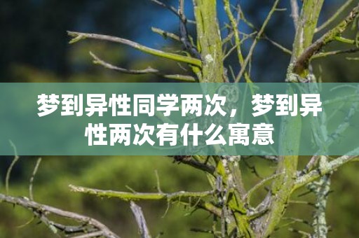 梦到异性同学两次，梦到异性两次有什么寓意