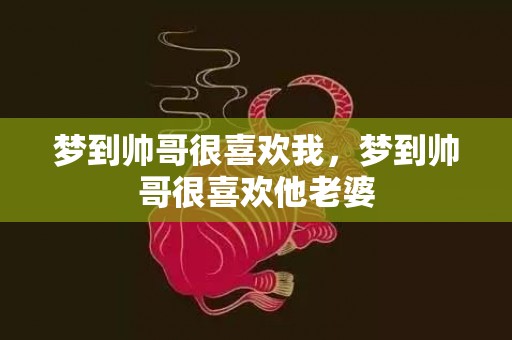 梦到帅哥很喜欢我，梦到帅哥很喜欢他老婆