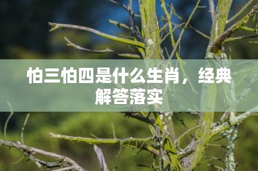 怕三怕四是什么生肖，经典解答落实