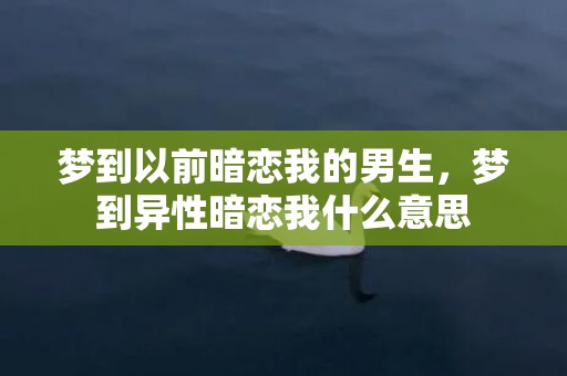 梦到以前暗恋我的男生，梦到异性暗恋我什么意思