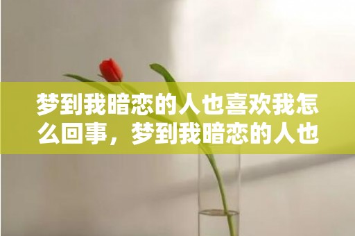 梦到我暗恋的人也喜欢我怎么回事，梦到我暗恋的人也喜欢我