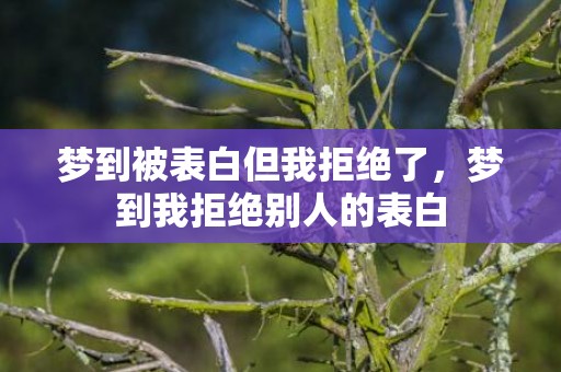 梦到被表白但我拒绝了，梦到我拒绝别人的表白