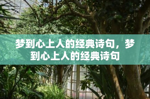 梦到心上人的经典诗句，梦到心上人的经典诗句