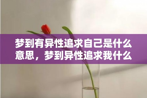 梦到有异性追求自己是什么意思，梦到异性追求我什么意思