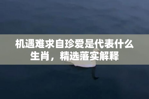 机遇难求自珍爱是代表什么生肖，精选落实解释