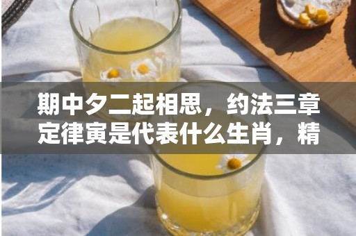期中夕二起相思，约法三章定律寅是代表什么生肖，精选解释落实