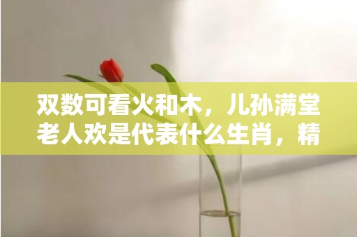 双数可看火和木，儿孙满堂老人欢是代表什么生肖，精选解释落实