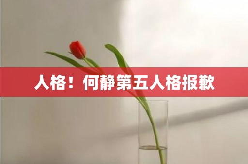 人格！何静第五人格报歉