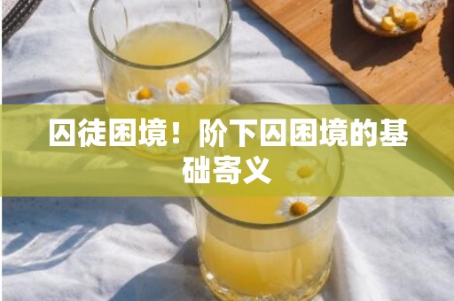 囚徒困境！阶下囚困境的基础寄义