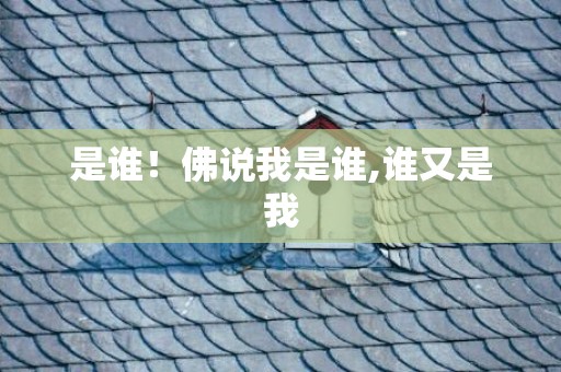 是谁！佛说我是谁,谁又是我