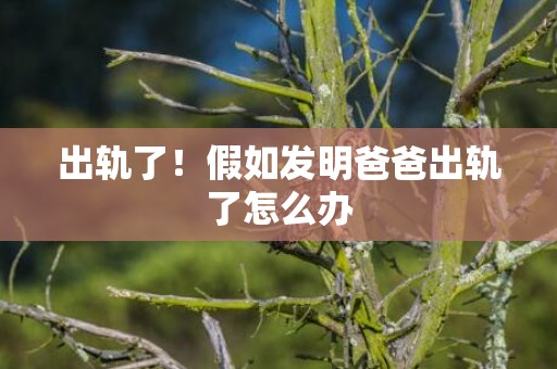 出轨了！假如发明爸爸出轨了怎么办