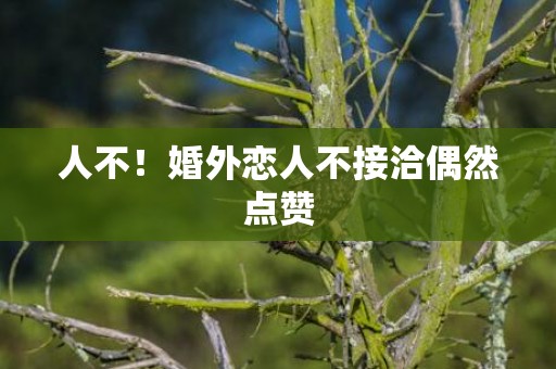 人不！婚外恋人不接洽偶然点赞