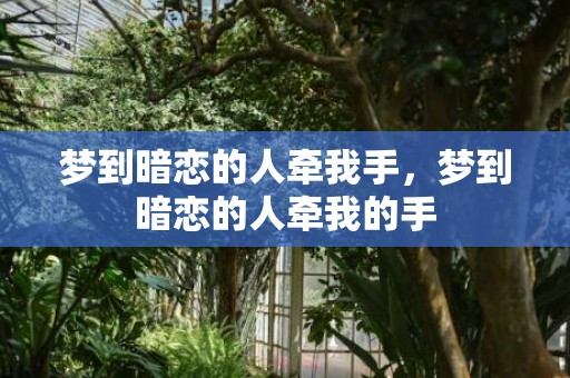 梦到暗恋的人牵我手，梦到暗恋的人牵我的手