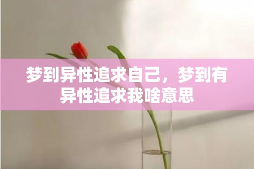 梦到异性追求自己，梦到有异性追求我啥意思