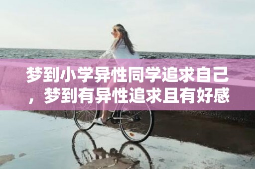 梦到小学异性同学追求自己，梦到有异性追求且有好感