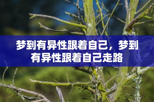 梦到有异性跟着自己，梦到有异性跟着自己走路
