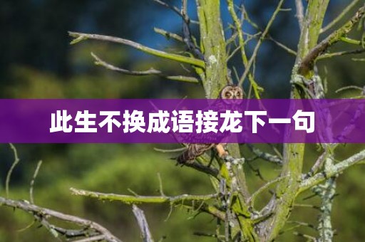 此生不换成语接龙下一句