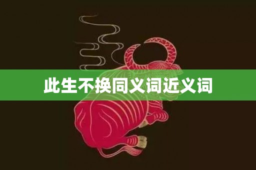 此生不换同义词近义词