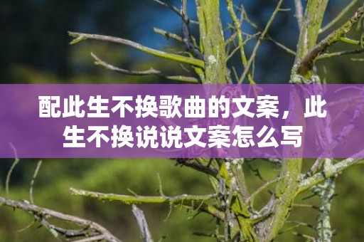 配此生不换歌曲的文案，此生不换说说文案怎么写