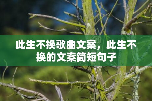此生不换歌曲文案，此生不换的文案简短句子