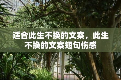 适合此生不换的文案，此生不换的文案短句伤感