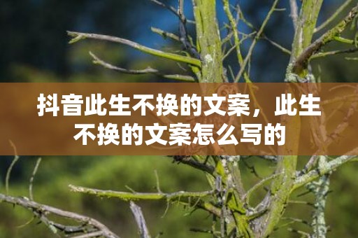 抖音此生不换的文案，此生不换的文案怎么写的