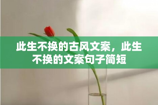 此生不换的古风文案，此生不换的文案句子简短