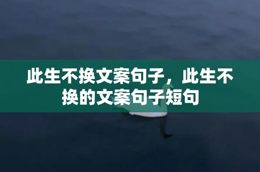 此生不换文案句子，此生不换的文案句子短句