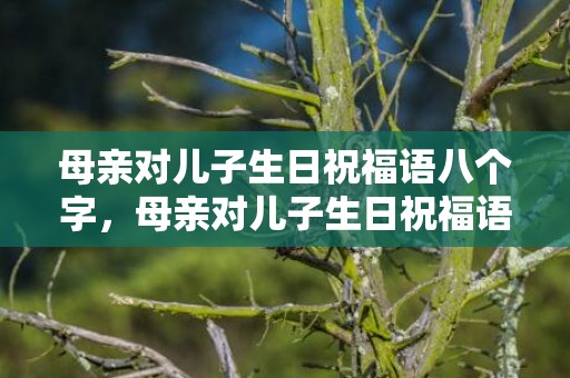 母亲对儿子生日祝福语八个字，母亲对儿子生日祝福语