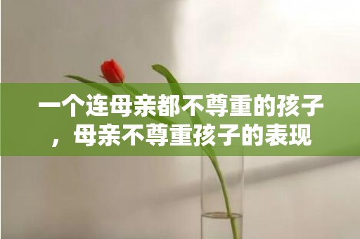 一个连母亲都不尊重的孩子，母亲不尊重孩子的表现
