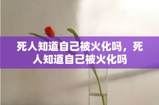 死人知道自己被火化吗，死人知道自己被火化吗