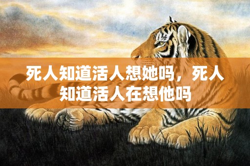 死人知道活人想她吗，死人知道活人在想他吗