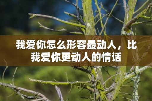 我爱你怎么形容最动人，比我爱你更动人的情话