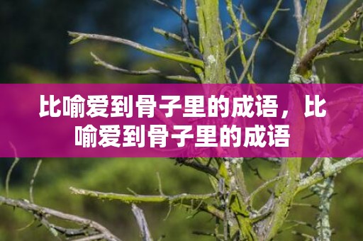 比喻爱到骨子里的成语，比喻爱到骨子里的成语