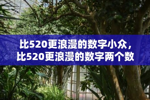 比520更浪漫的数字小众，比520更浪漫的数字两个数